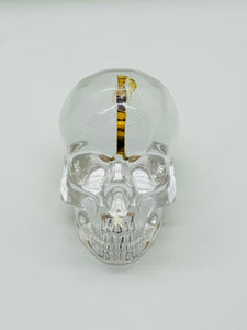 Small-Epoxy Skull and Recycled Skateboard Brain 💀 🛹 🧠